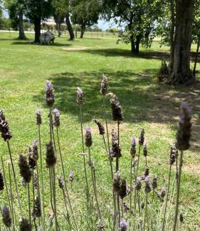 Diego Gaynor Casa | El campito