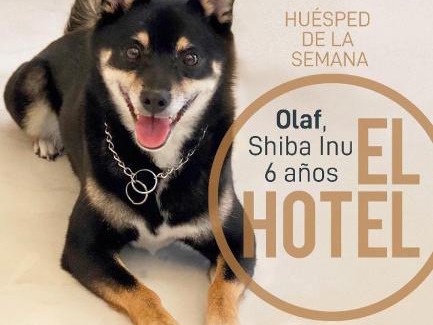 San Pedro Hotel | El Hotel