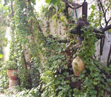 Villarrubia de Santiago Casa | El Sueño de Lucrecia