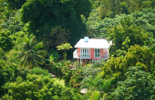Rio Blanco Cabina | El Yunque Waterfalls Romantic Stay at Casa Parcha