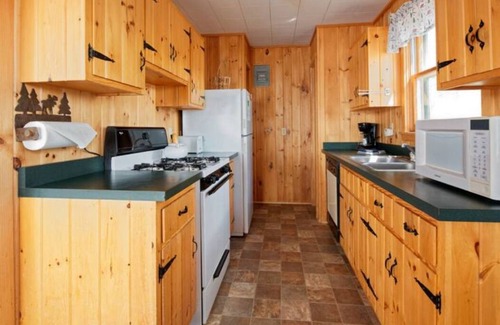 Orr Cabina | Elbow Lake Lodge: Twilight 3BR/1BA Lakefront Cabin