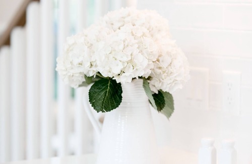 Fairhope Cabaña | Elegante cabaña en el Bluff Downtown Fairhope (A)