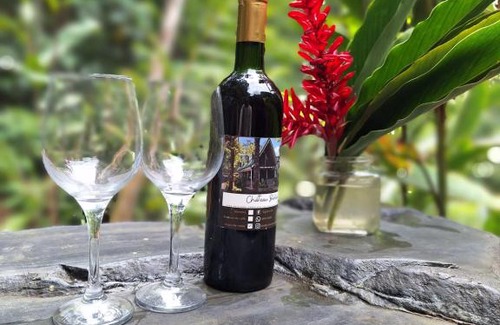 San Isidro de El General Casa | Elegante Cabaña