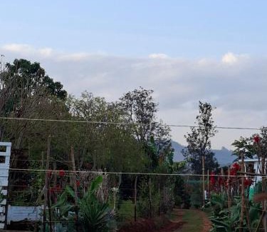 Ngelani Chalet De Esquí | Elmadel Coffee Gardens 4Bed Rustic Wooden House