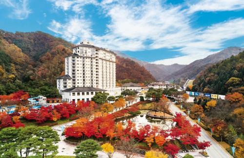 Namsan Complejo | Elysian Gangchon Resort