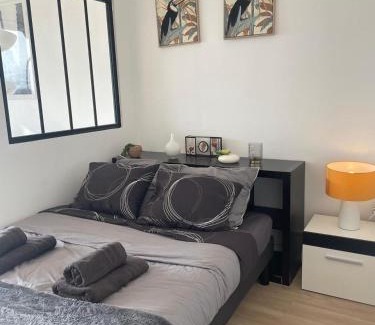 Mons-en-Baroeul Apartamento | En hauteur, au pied du métro & 7mn du centre Lille