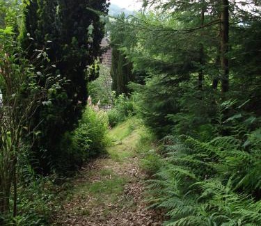 Windeck Apartamento | En Raußel