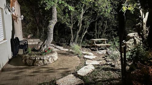 Tsiv'on Apartamento | Engel apartments -אירוח למטיילים בגליל עליון