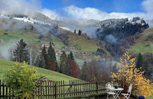Ruedisbach Chalet De Esquí | Engel Ingold Lodge-Romantic place in the middle of the Swiss Alps-Hotel Services