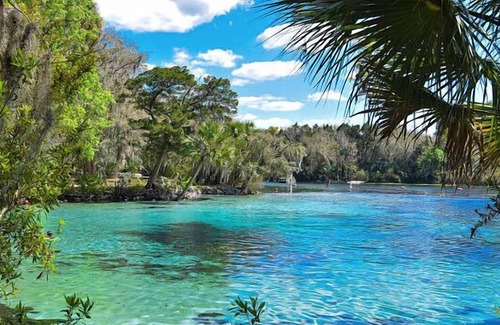 Seville Casa | Enjoy A Peaceful Getaway! Close to Daytona Beach's Boar! Pet-Friendly!