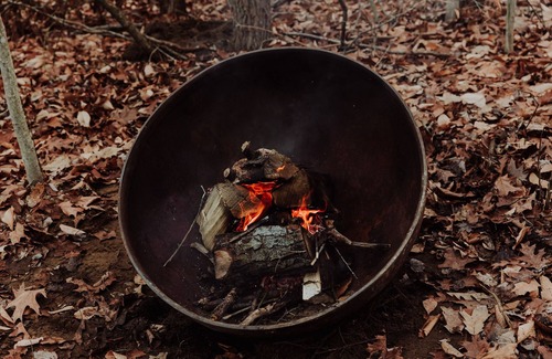 Fennville Alquiler De RV | Enjoy the simplicity and elegance of a cozy bedroom in the woods.