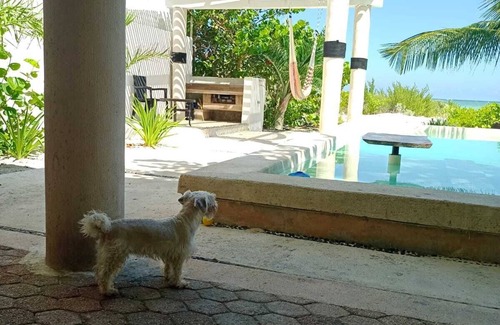 Chicxulub Puerto Casa | Casa Entera a la Orilla del Mar en Chicxulub Puerto, Yuc, Riviera Yucateca Mex