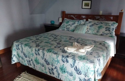 Bocas del Toro Complejo | Entire Resort of Bocas Beachfront Lodge "BBL"