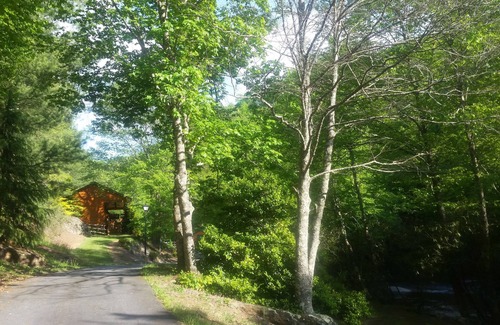 Sparta Cabina | Escapar y sanar su cuerpo y alma