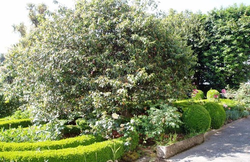 Casteloes de Cepeda Cama Y Desayuno | Estrebuela House