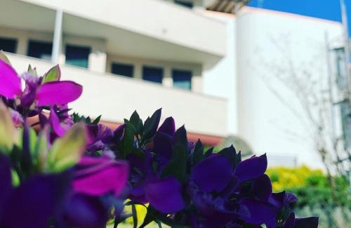 San Gottardo Apartamento | Eurobeach Residence