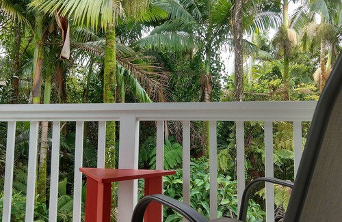 Leilani Estates Casa | Exceptional 10/10 Hosted Peaceful Forest Paradise, 2 acres, 1700 sq.ft.