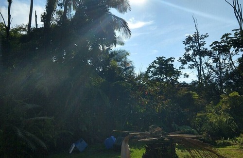 Leilani Estates Casa | Exceptional 10/10 Hosted Peaceful Forest Paradise, 2 acres, 1700 sq.ft.