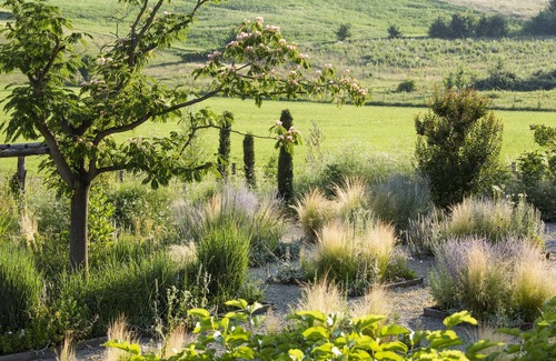 Rosignano Monferrato Casa | Exclusive farmhouse for 13 people with charm and private pool