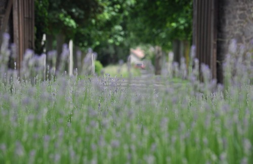 Seneffe Apartamento | La experiencia de un viaje .....