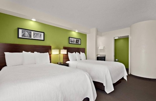 Wesley Chapel Hotel | Experience Comfort, Modern Room Near I-75 | Pool