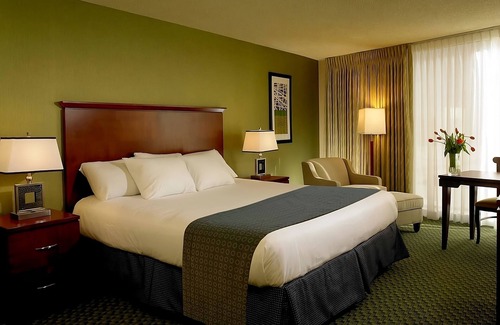 Laughlin Hotel | Experience The Nevada Wilderness! Affordable Stay Surrounded By National Parks