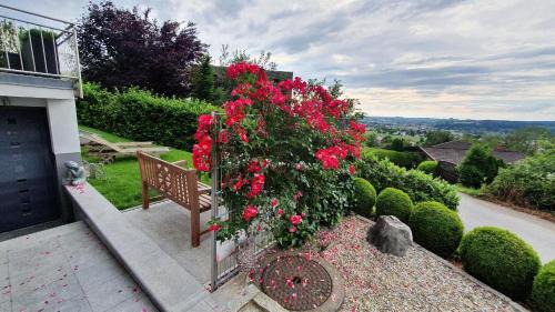 Hoerbranz Apartamento | F E R I E N W O H N U N G "Am Halbenstein"