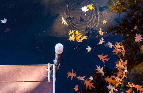 Hayward Chalet De Esquí | Fall Getaway Resort-3 KING suites, Dog-Friendly