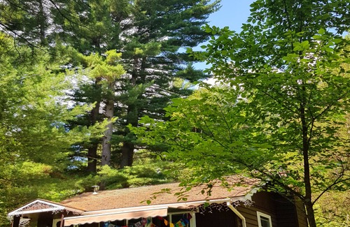 Wilmington Chalet De Esquí | Family Chalet with Fireplace under Pine trees