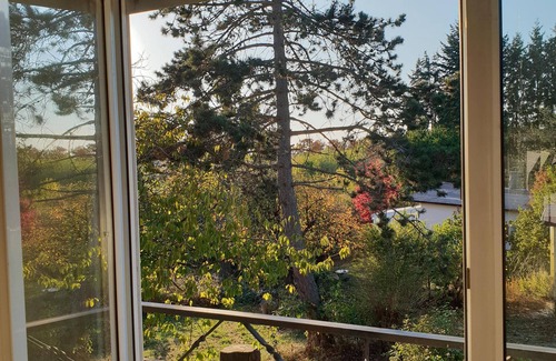 Schotten Casa | Vacaciones familiares, encuentro con amigos, disfrutando del jardín.