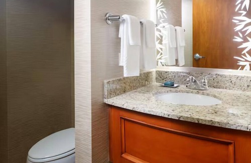 St. Petersburg - Clearwater Hotel | Family Retreat with Infinity Pool & Waterfront Dining