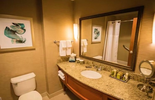 St. Petersburg - Clearwater Hotel | Family Retreat with Infinity Pool & Waterfront Dining