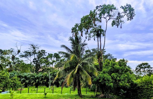 Lago Agrio Cabina | Farm Hotel Magic Paradise - Amazon Cabin