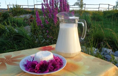 Brezno Apartamento | Farma Kozí dvor Rohozná