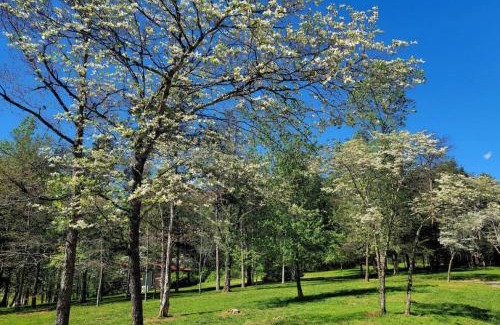 Stanardsville Casa | Farmview Cottage at White Lotus Eco Spa Retreat