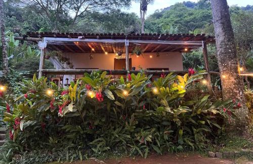 Bananal Casa | Fauna