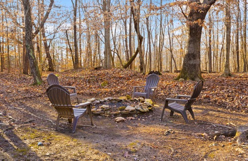 Nancy Casa | Fawn Run on Lake Cumberland