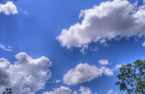 Mambai Cabina | Fazenda Rio Vermelho - Chalés Pérola do Cerrado