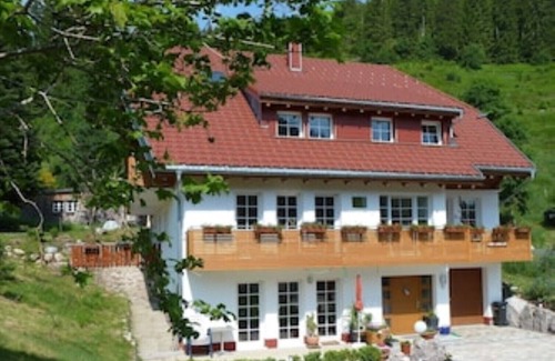 Menzenschwand-Hinterdorf Apartamento | Feel-good apartment TANNE