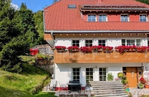 Menzenschwand-Hinterdorf Apartamento | Feel-good apartment TANNE