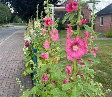 Goldenbek Casa | Ferienhaus Ahlers