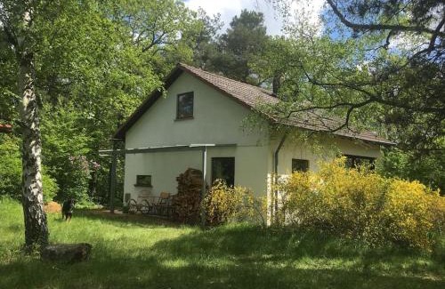 Wachenheim an der Weinstrasse Apartamento | Ferienhaus im Wald an der Weinstrasse