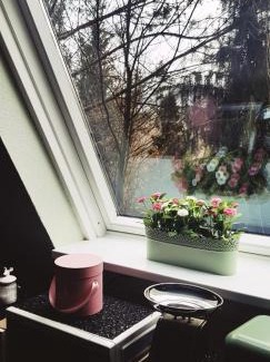 Feriendorf Eichwald Casa | Ferienhaus Kleine Auszeit