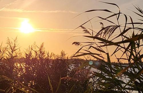 Muritz Casa | Ferienhaus-Sternchen-3-am-Schwarzer-See