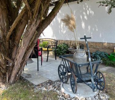 Koenigstein Apartamento | Ferienwohnung -IN LAPIDE REGIS-