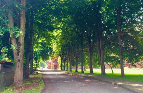 Vellahn Apartamento | Ferienwohnung Adelheid