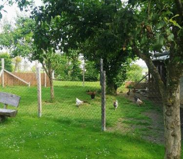 Nohn Apartamento | Ferienwohnung am Wasserfall