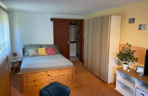 Altenberg Apartamento | Ferienwohnung An den Galgenteichen