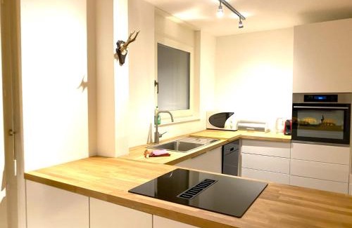 Arosa Apartamento | Ferienwohnung Brüggli A2