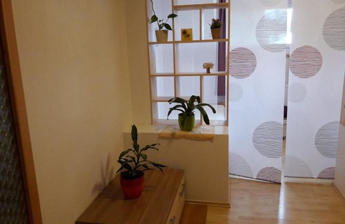 Rossleithen Apartamento | Ferienwohnung Brandstatter